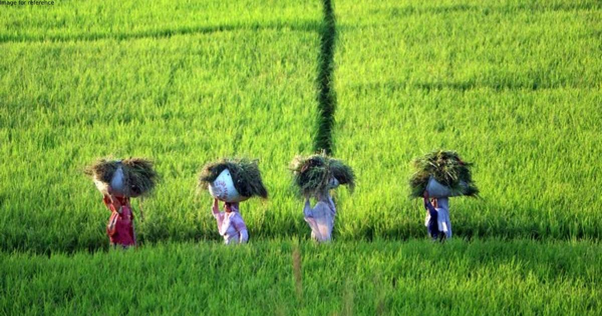Odisha govt to return 200 acres unutilized land to farmers after 20 years